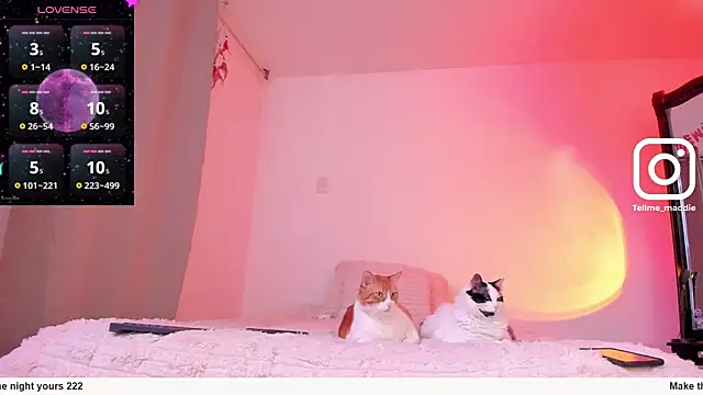 tellmemaddie online show from 11/01/25, 08:11