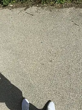 Italianofirenze online show from 04/15/26, 09:49