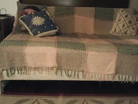 Snapshot of domruanbr chatting on 10/21/25, 03:07 domruanbr online show from 10/21/25, 03:07