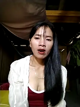 Snapshot of lmc-zz chatting on 11/01/25, 01:29 lmc-zz online show from 11/01/25, 01:29