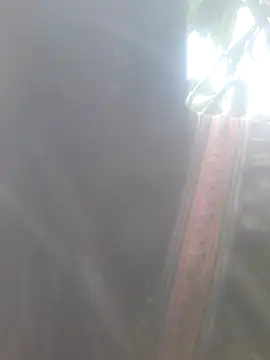 Snapshot of bree-zz chatting on 11/10/25, 01:48 bree-zz online show from 11/10/25, 01:48