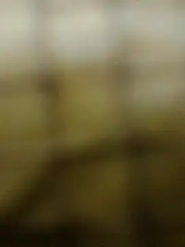 Snapshot of Rs_sonam chatting on 12/03/25, 10:57 Rs sonam online show from 12/03/25, 10:57