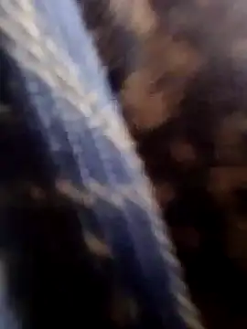 Rs sonam online show from 01/18/26, 04:05