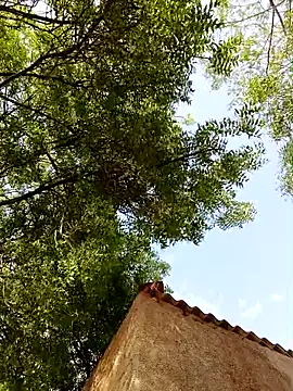 Rs sonam online show from 04/08/26, 10:48