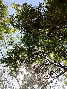 Rs sonam online show from 04/13/26, 09:15