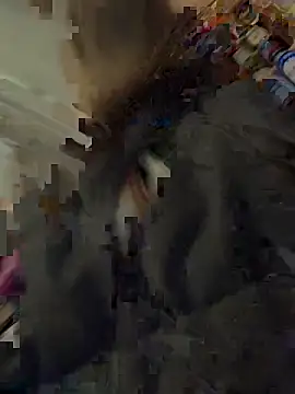 Snapshot of silentasachurchmouse chatting on 12/03/25, 04:16 silentasachurchmouse online show from 12/03/25, 04:16