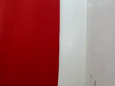 Snapshot of amandareddragon chatting on 11/21/25, 04:38 amandareddragon online show from 11/21/25, 04:38