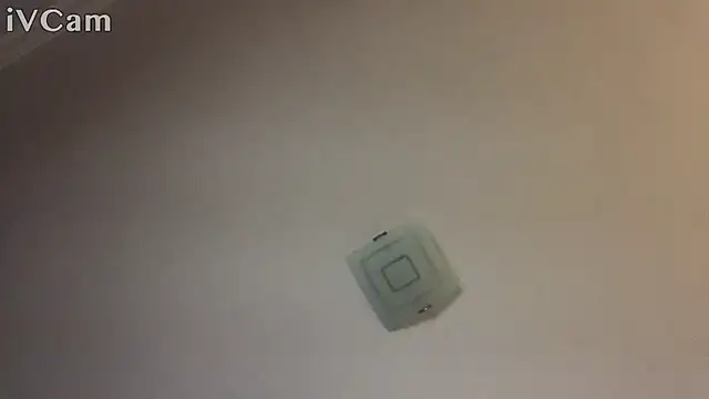 XxvanxX online show from 11/14/25, 06:50