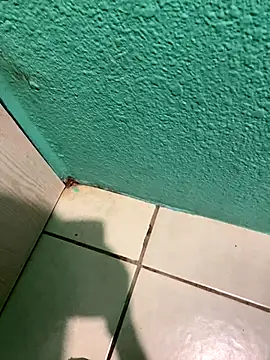 Snapshot of feetbooy chatting on 12/22/25, 12:18 feetbooy online show from 12/22/25, 12:18