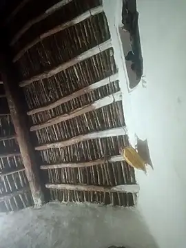 LOVE-VIKA online show from 02/23/26, 01:19