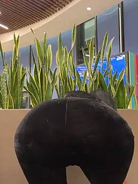 ilariea girl online show from 02/03/26, 05:07