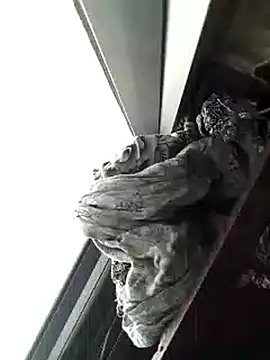 Snapshot of amanWildstalion chatting on 11/08/25, 07:19 amanWildstalion online show from 11/08/25, 07:19