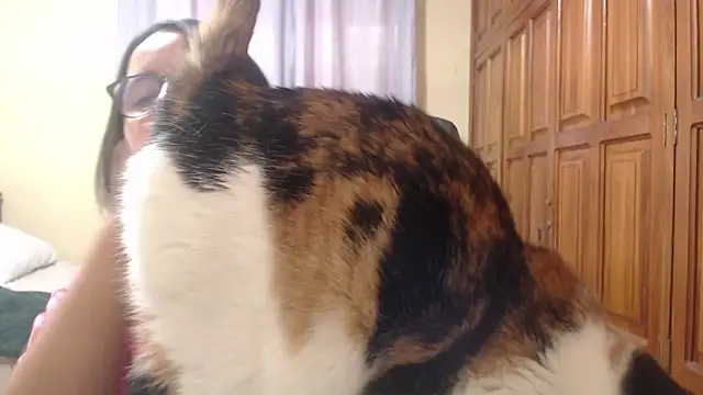 Venus cat  online show from 02/08/26, 09:18