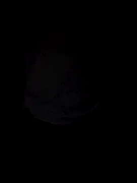 Snapshot of Curious9884 chatting on 10/04/25, 01:31 Curious9884 online show from 10/04/25, 01:31