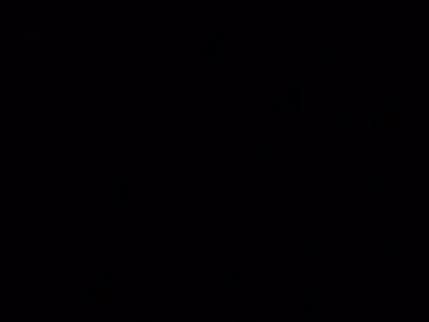 Curious9884 online show from 03/02/26, 02:57