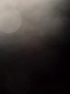 Payarkanasa online show from 11/28/25, 09:45