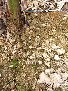 Snapshot of Sikici0734 chatting on 02/24/26, 09:40 Sikici0734 online show from 02/24/26, 09:40