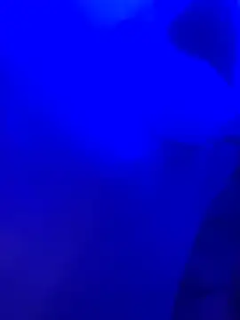 Dammianmiller online show from 02/24/26, 03:26