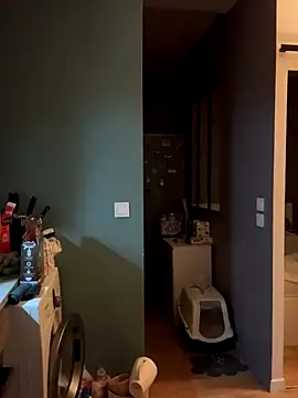 bebecita x online show from 11/14/25, 06:28