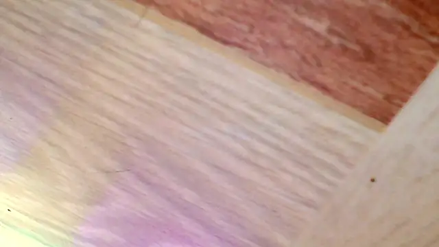 shannon kinne  online show from 03/31/26, 04:40