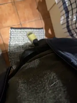 4dagals online show from 04/01/26, 05:41