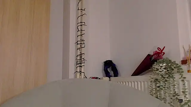 adacgrey online show from 02/20/26, 04:29