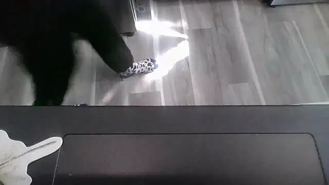 october1992xx online show from 11/09/25, 04:38