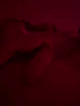 nieonixpeek19 online show from 02/02/26, 09:13