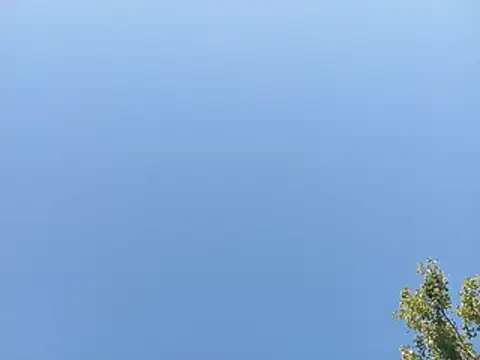 Bella 862 online show from 07/14/26, 04:45