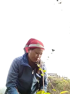 sumaybae online show from 10/28/25, 01:09