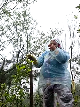 miomio-12 online show from 11/18/25, 02:28