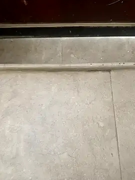 pn12345 online show from 12/01/25, 05:12