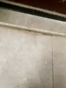 pn12345 online show from 12/05/25, 04:10