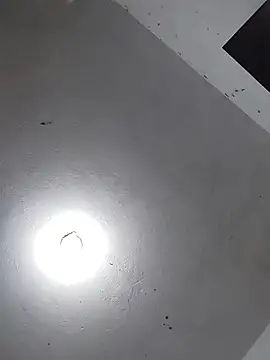 Snapshot of _Bella_Beth_ chatting on 11/26/25, 02:34 Bella Beth online show from 11/26/25, 02:34