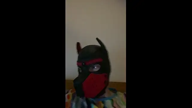 MolleDolle online show from 03/01/26, 08:44