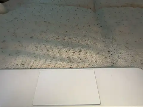 goddesemiiyy online show from 11/18/25, 06:34