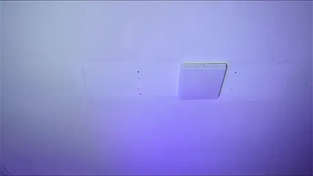 Bayonetta doll online show from 02/14/26, 12:46