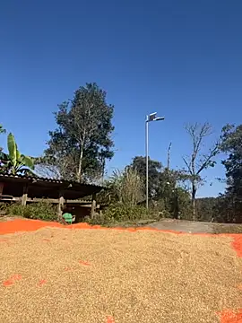 Snapshot of miemie-xx chatting on 11/26/25, 03:18 miemie-xx online show from 11/26/25, 03:18