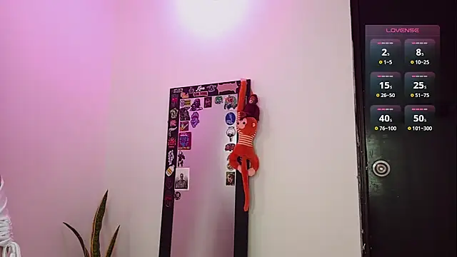 Brugmansia  online show from 01/18/26, 04:05