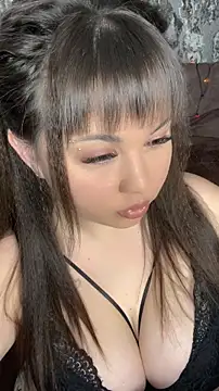 CatAdmiral online show from 12/15/25, 06:34