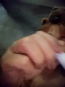 Snapshot of Rabbit-small chatting on 03/20/26, 04:12 Rabbit-small online show from 03/20/26, 04:12