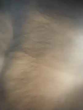 Snapshot of SL_BEAR chatting on 12/04/25, 01:48 SL BEAR online show from 12/04/25, 01:48