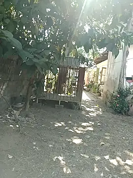 Snapshot of SL_BEAR chatting on 03/26/26, 04:18 SL BEAR online show from 03/26/26, 04:18