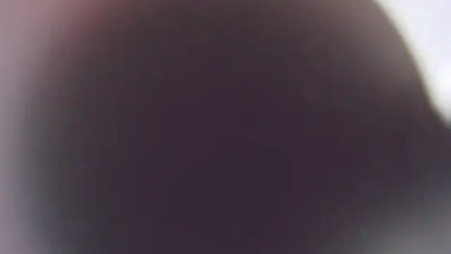 Snapshot of Stefano_Calle chatting on 12/03/25, 11:41 Stefano Calle online show from 12/03/25, 11:41