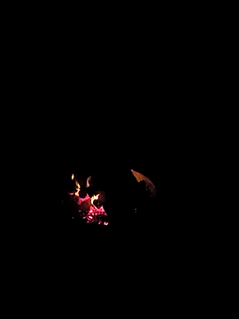 Snapshot of Floridaboy863 chatting on 02/05/26, 03:33 Floridaboy863 online show from 02/05/26, 03:33