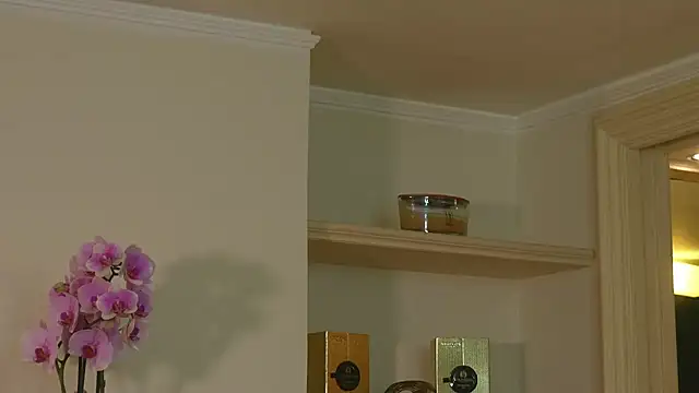 AbrilColls  online show from 03/03/26, 08:04