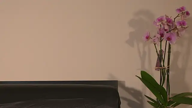 AbrilColls  online show from 03/15/26, 12:16