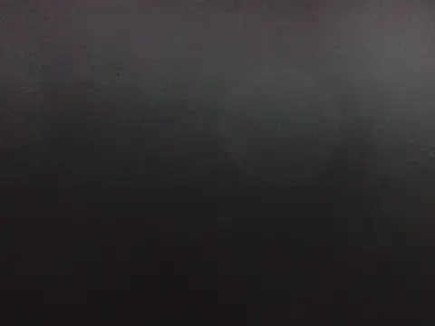 puppy2s online show from 10/16/25, 03:07