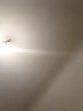 labellerose online show from 01/09/26, 05:59