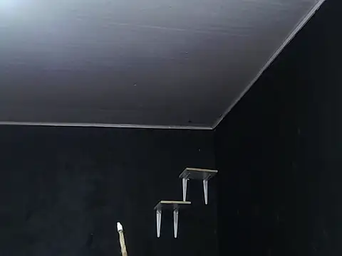 Liastark online show from 11/30/25, 10:41